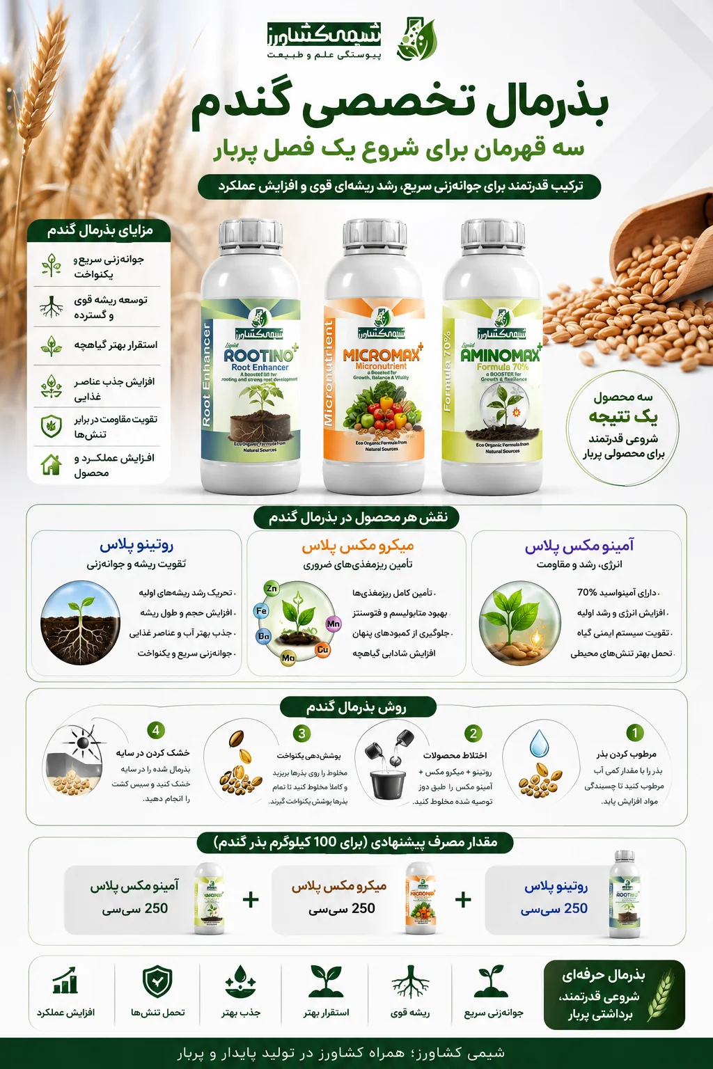 بذرمال گندم